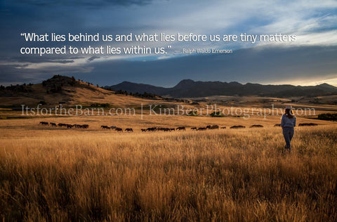 What lies behind us and what lies before us are tiny matters...