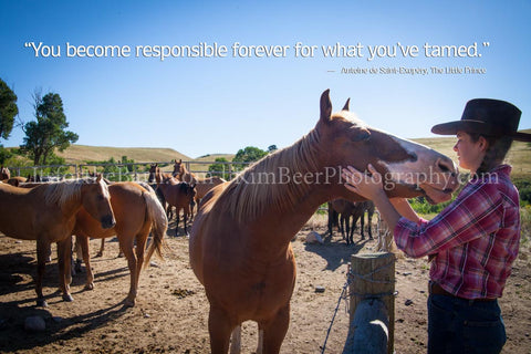 You become responsible forever for what you've tamed.