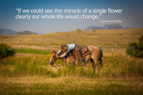 If we could see the miracle of a single flower clearly our whole life would change.