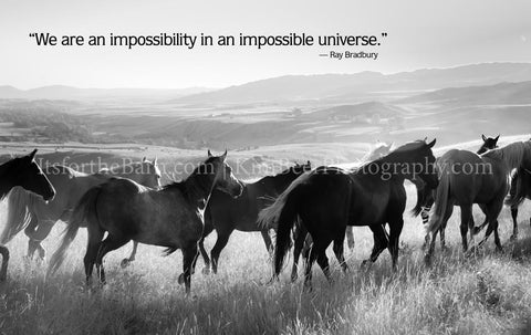 We are an impossibility in an impossible universe.)