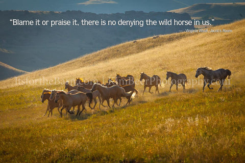 Blame it or praise it, There is no denying the wild horse in us.