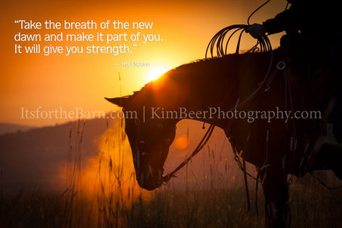 Take the breath of the new dawn and make it part of you, it will give you strength.