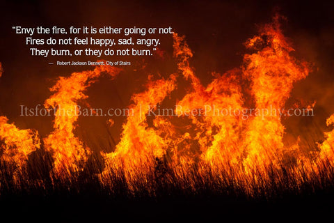 Envy the fire, for it is either going or not. Fires do not feel happy, sad, angry.