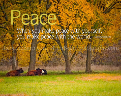 When you make peace with yourself, you make peace with the world.