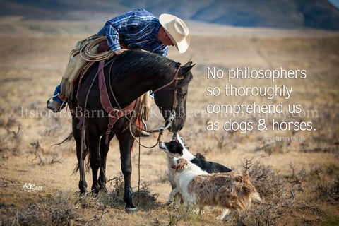 No Philosophers so thoroughly comprehend us as dogs and horses.
