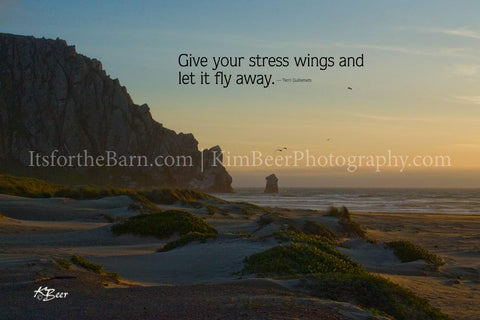 Give your stress wings and let it fly away.